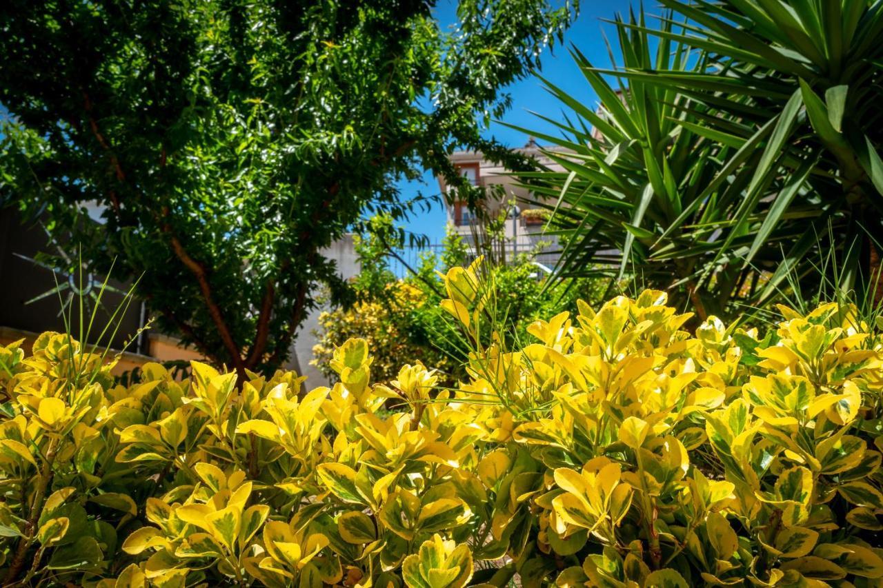 Antonella's House Apartment Vasto
